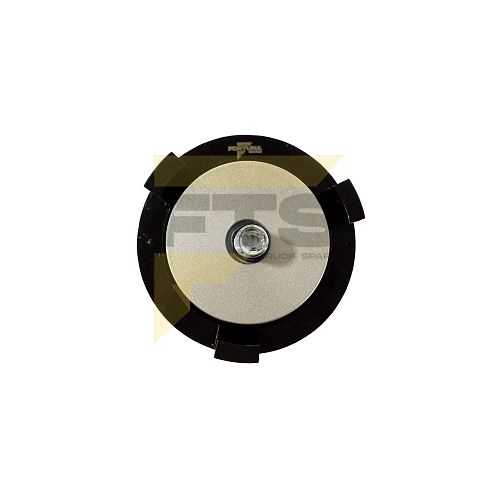 Imagem adicional do produto POLIA ESTIC. CORREIA DAF XF106 2021> - LISA - Cód: FAP-12642